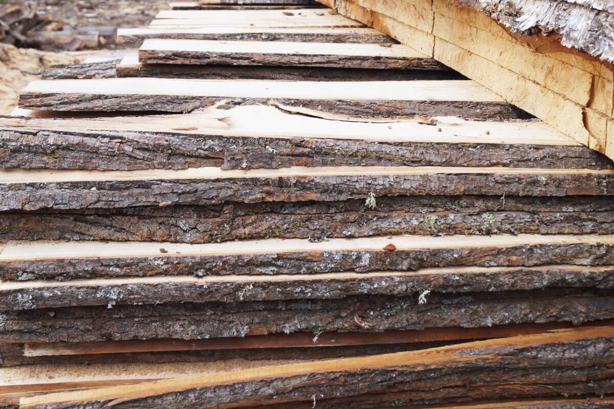 selekcja drewna do procesów suszenia tarcicy
